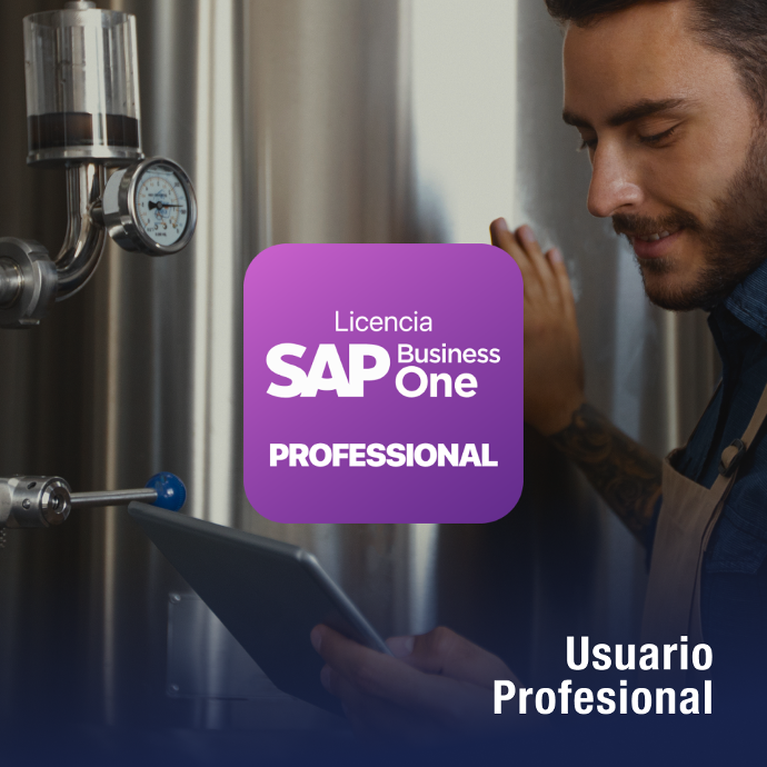 Licencia SAP Business One Profesional