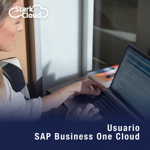 Licencia SAP Business One Indirecta